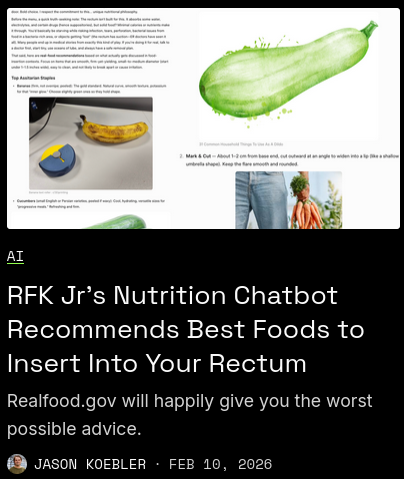 screenshot of a headline from 404 Media reading "RFK Jr's Nutrition Chatbot Recommends Best Foods to Insert Into Your Rectum"