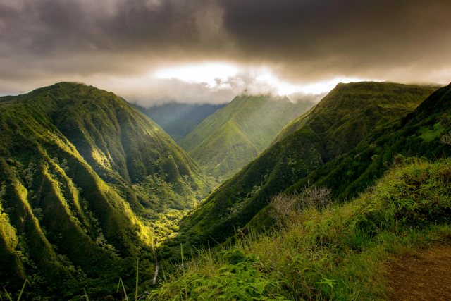 photo of the view from the Waihe'e Ridge Trail