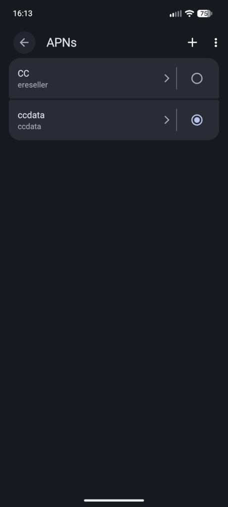 screenshot showing the Access Point Names (APNs) on a GrapheneOS phone