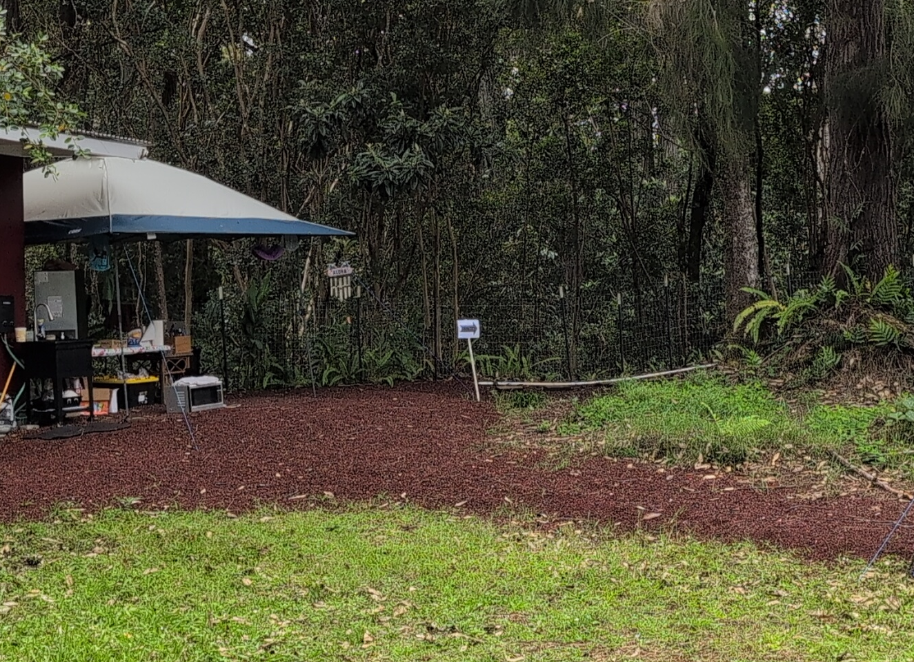photo showing the corner of the studio with a large arrow pointing to the right along the fence line