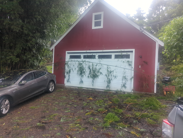 photo showing the garage door with a fallen bamboo shoot in front of it