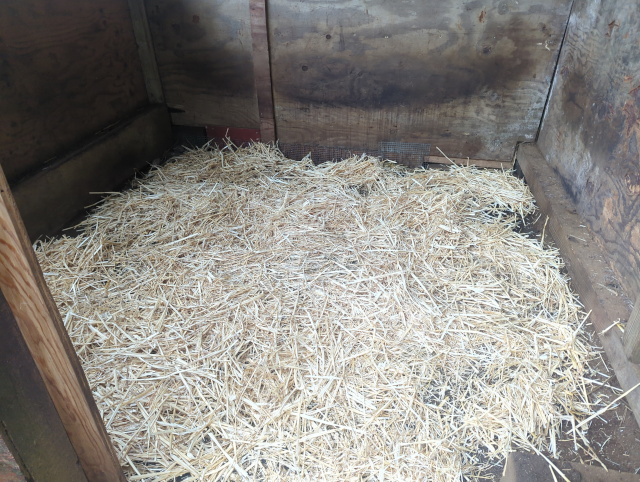 photo of the sheep barn with a fresh layer of straw on the floor