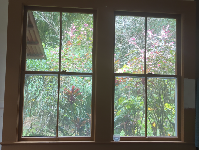 photo of a view through double-hung windows looking out into a tropical garden