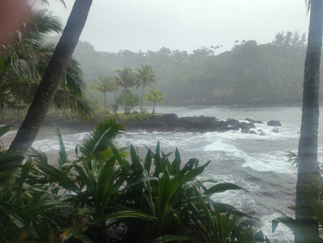 photo looking at an ocean cove with tropical plants and some roiling surf. The far cliffs are shrouded in rainfall and mist