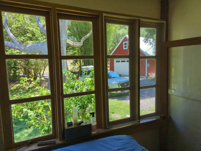 photo of four of our wall of six casement windows; the right two are covered by a magnetic screen
