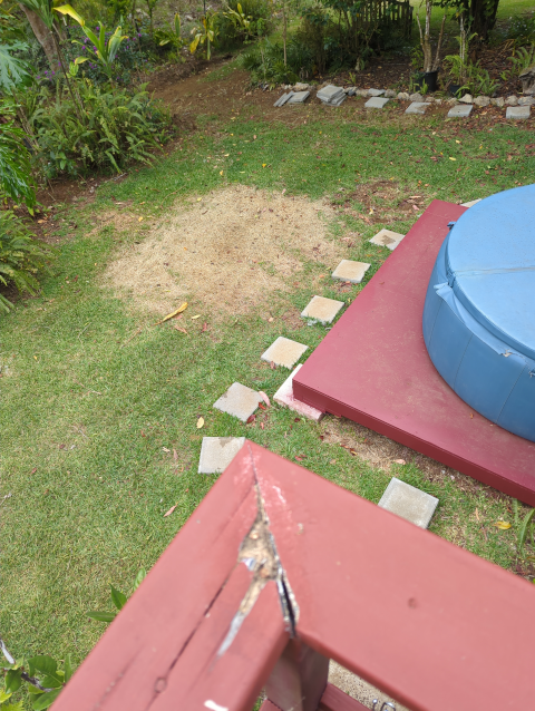 photo of a lawn showing a distinctly demarcated brown patch