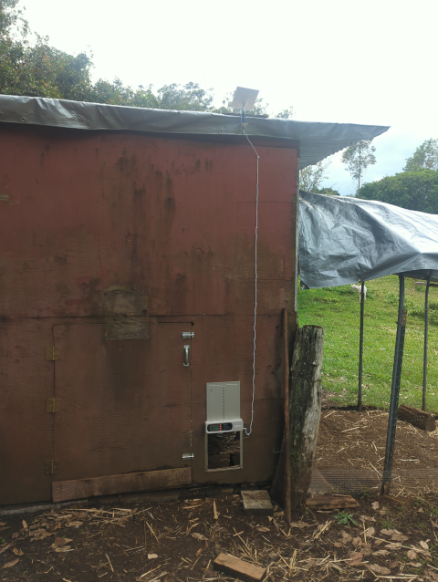 photo showing the chicken door on the coop, the solar panel mounted to the coop roof, and a nicely-dressed cable connecting them