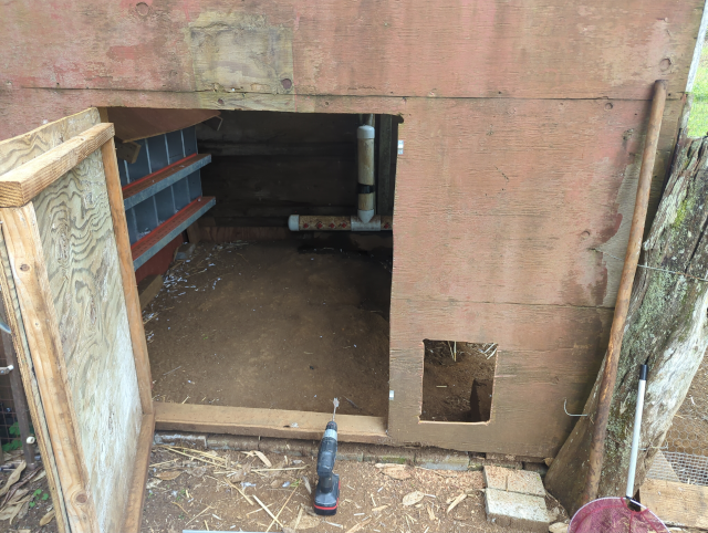 photo of the chicken coop with a new hole cut in it for the chicken door