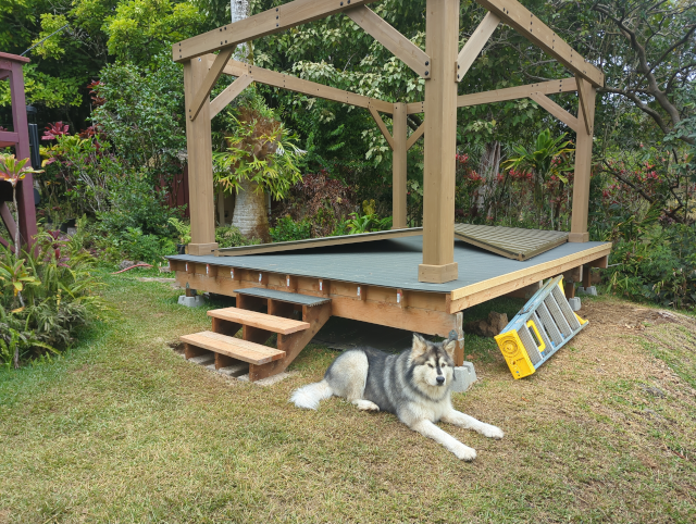 photo of the new stairs leading up to the deck of the unfinished pavilion with Luna the Big Dog™ nearby