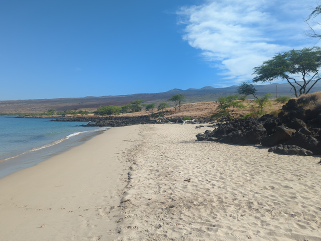 photo of a white-sand beach with white driftwood logs against a black lava backdrop with nary a human being in sight