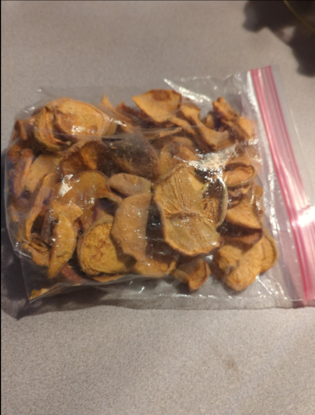 photograph of sliced, dehydrated peaches in a plastic zipper bag