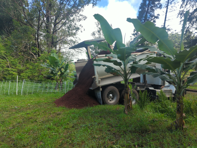 photo of a dump truck starting to dump 12 tons of red volcanic cinder just inside our makai gate