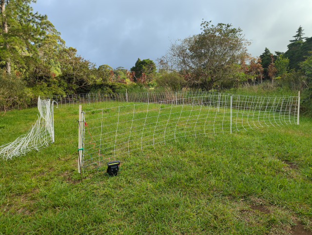 photo showing an electric fence corral with PVC corner posts and an open doorway