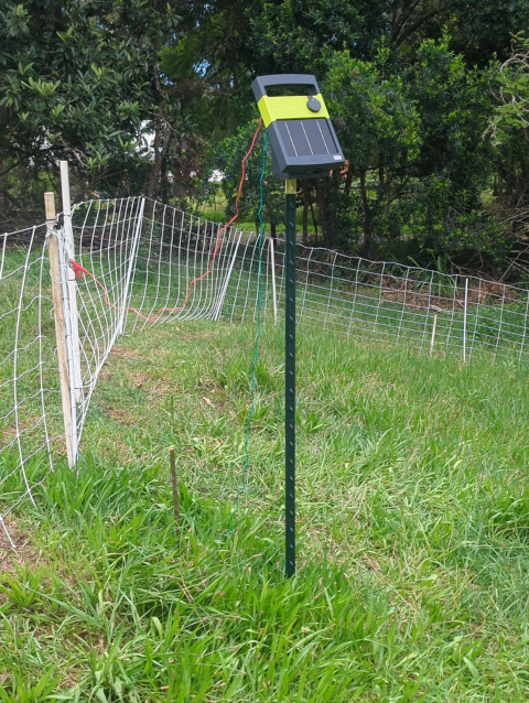 photo of a solar-powered electric fence charger mounted on a T-post