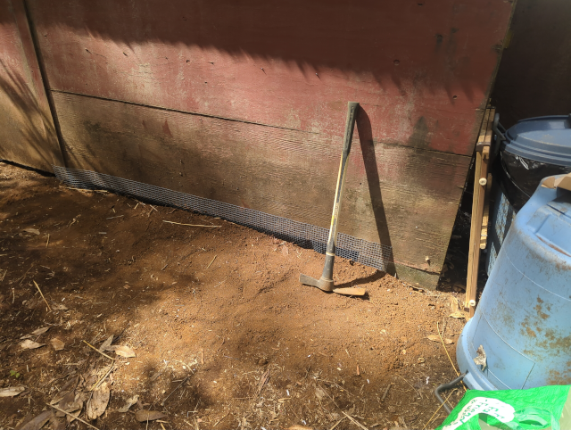 photo of the back of the henhouse with hardware cloth stapled to the wall and going underground