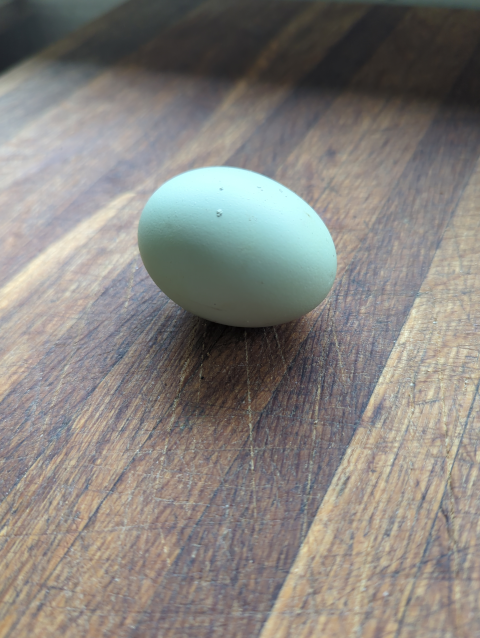 photo of a hen's egg, light green on a butcher block background
