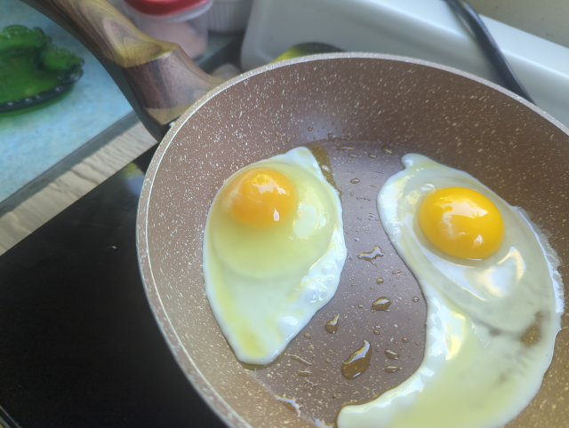photo of the first egg cracked into a frying pan with a commercial egg to the right of it