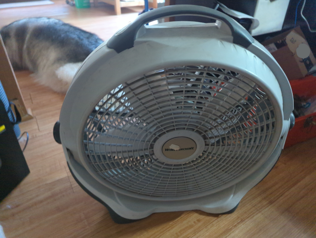 photo of a standard electric floor fan