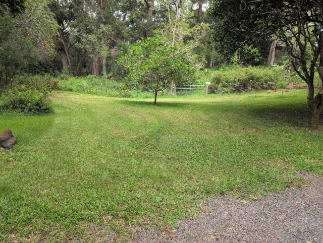photo of our front lawn, just mowed (if a bit irregularly)