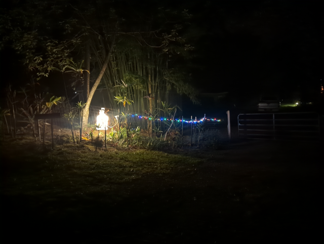 photo showing an illuminated Frosty the Snowman Christmas decoration and a string of colored Christmas lights along the fence near the compound's main gate