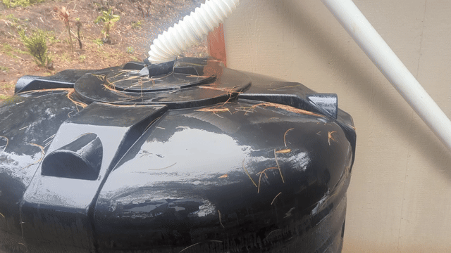 animated gif showing the top of our black catchment tank, with rain falling on it and water flowing out of the top