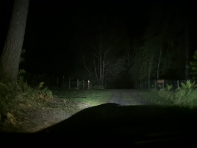 photo looking down a long, dark dirt road; a small light can be seen on a fence post on the left