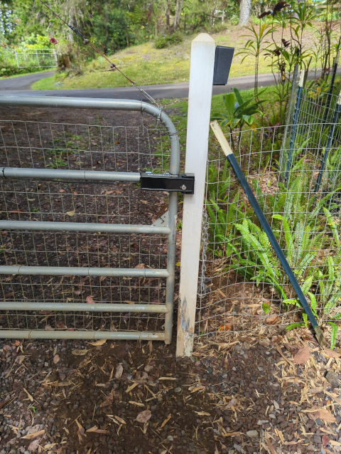 photo showing the front gate with Zombielock engaged; the damaged post has been reattached to its pier using lag bolts, and a diagonal t-post has been added for lateral stability