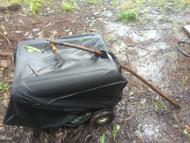 photo of the backup-backup generator showing a tree branch penetrating the top of the cover and out the side