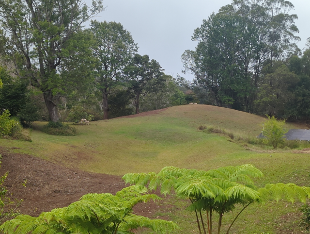 photo of a pasture with green grass on rolling hills, a few trees, and three sheep grazing in the distance