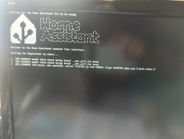 screenshot of the Home Assistant boot screen showing an I/O error