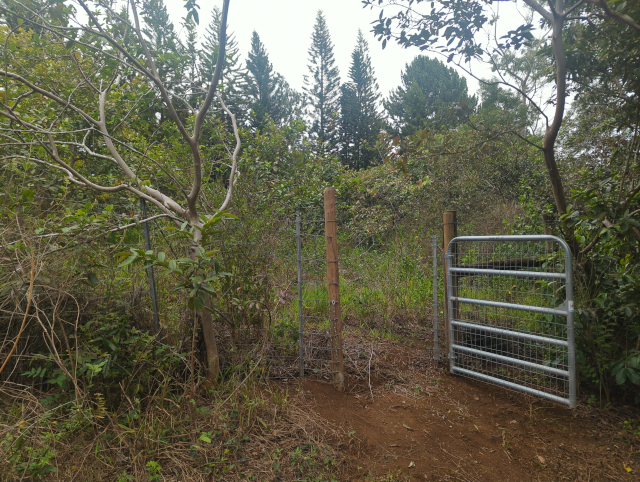 photo of a gate in the fence that separates the pasture from the former horse pasture; there is wild vegetation beyond the gate