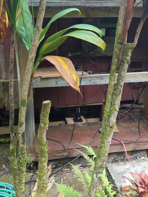 photo of a bottle jack lifting the wall of a house