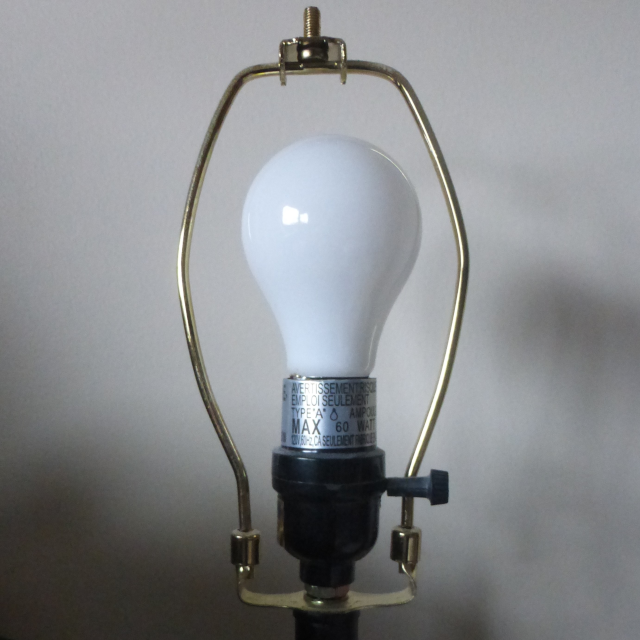 photo of an incandescent lightbulb in a lamp harp