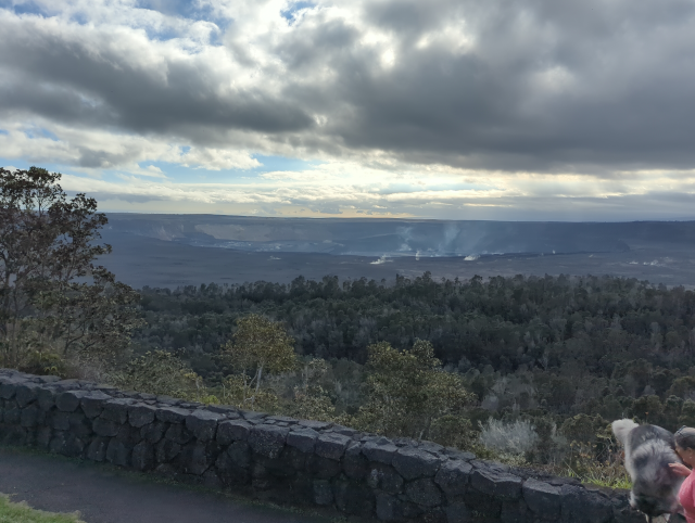 a photograph showing Kīlauea caldera with several smoke plumes with HA and Luna the Big Dog™ observing from the corner