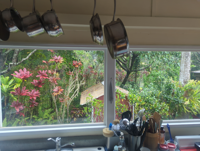 photo looking across the kitchen sink, with pots hanging above it, to a view of a garden, the roof of the shower, and through trees, across two roads, to trees and plants in the distance