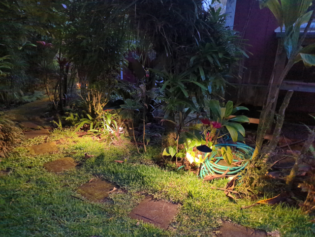 photo of the path to the shower at dusk with the new lighting