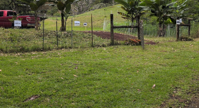 photo showing the parking area by our makai gate
