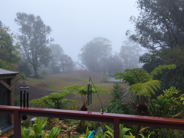 photo of the pasture after clouds have flowed across it, covering the distant trees in fog and mist