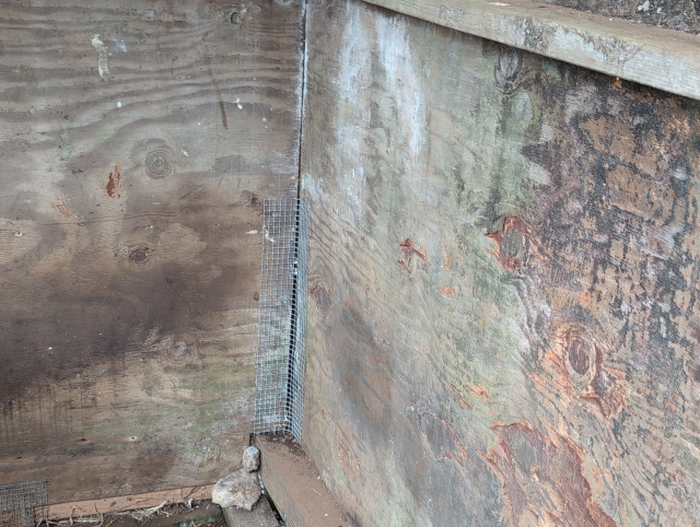 photo showing the inside of the sheep side of the barn, with a gap in the walls covered with wire mesh