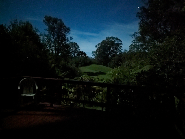 photograph of the back pasture lit only by moonlight by a phone camera in night mode