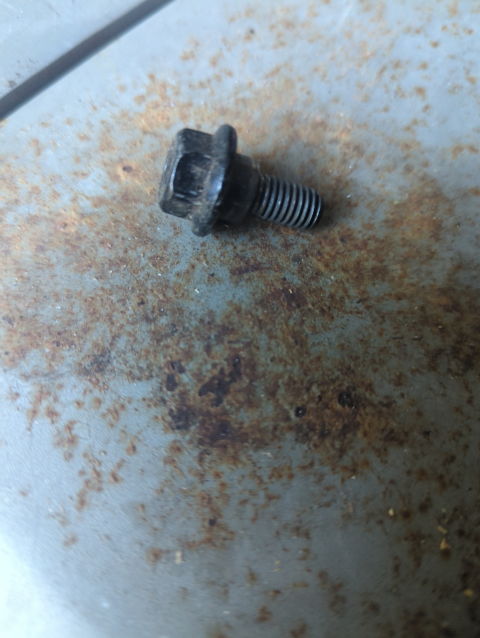 photo of a short, black bolt with no nut or washers