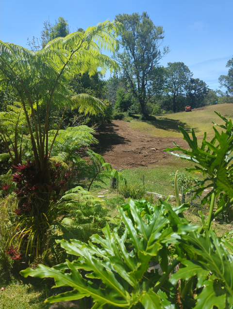 photo showing grassy pasture on the right and cleared ground on the left