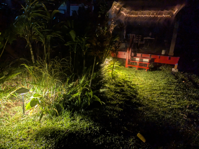 photo showing the lighting along the path to the pavilion, with the pavilion in the background; there is lush planting along the path