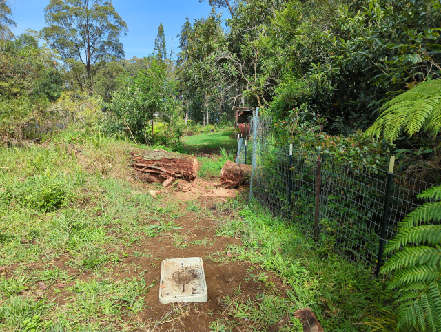 photo showing a slot cut through a downed tree