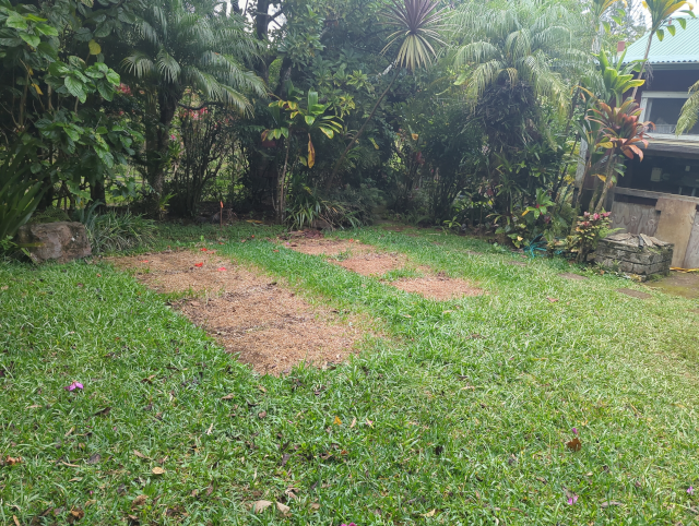 photograph of the former solar panel array site, with all the t-posts removed