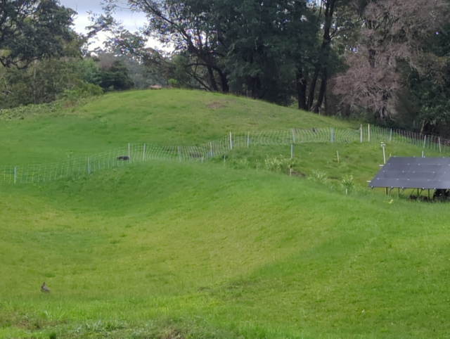 photo of the pasture with a new electric fence extending across it