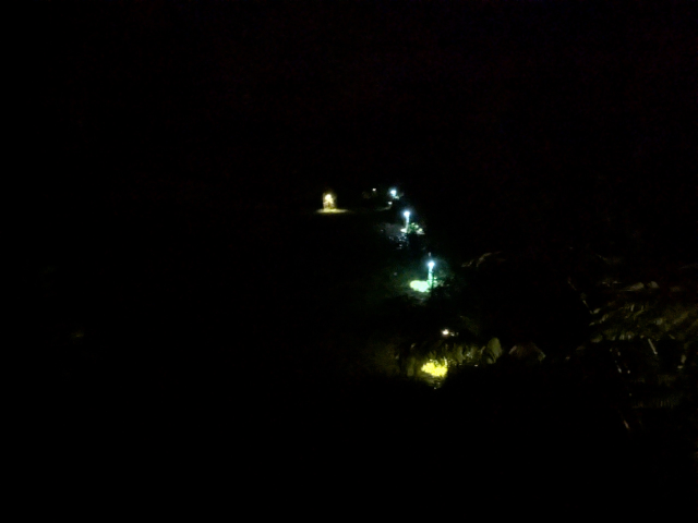photo of the pasture at night, showing a line of widely-spaced small solar lights along the fence which somewhat illuminate a path