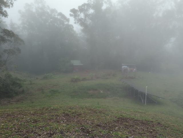 photo looking from the pasture toward the gulch as it all becomes enveloped in mist; the studio is barely visible in front of the gulch in the center, the henhouse is to the right, and the solar panels are in the foreground