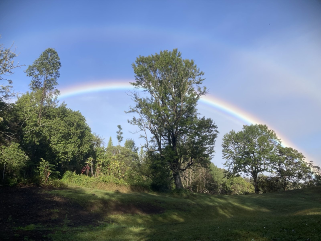 photo of a rainbow over our pasture