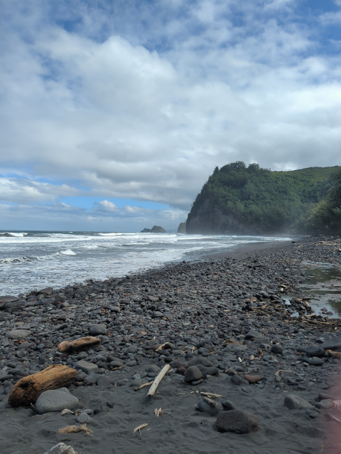 photo of Pololū Beach looking toward Waipio